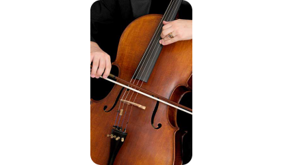 Musical Instrument Rental Software